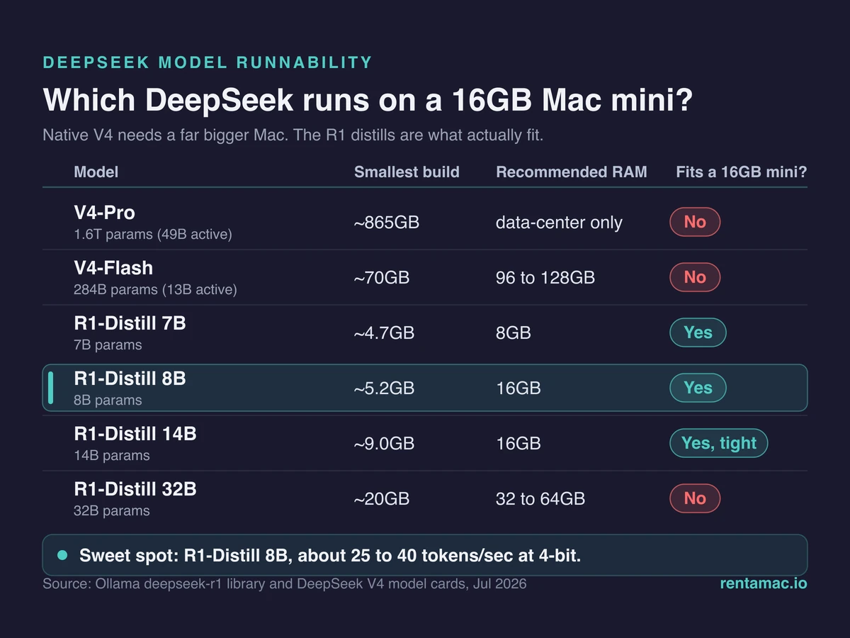 Which DeepSeek fits a 16GB Mac mini: R1 7B and 8B distills, not V4